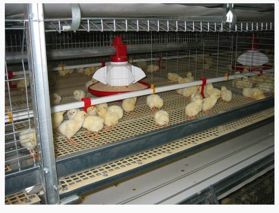 Poultry ventilation fan equipment