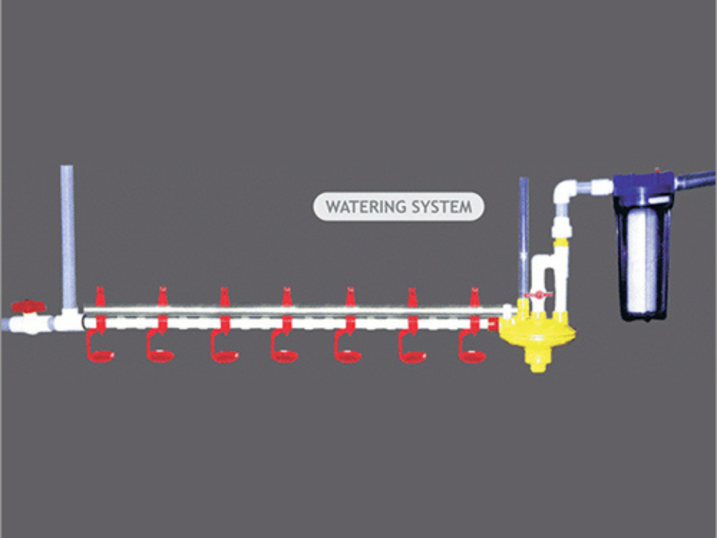 Poultry nipple watering system