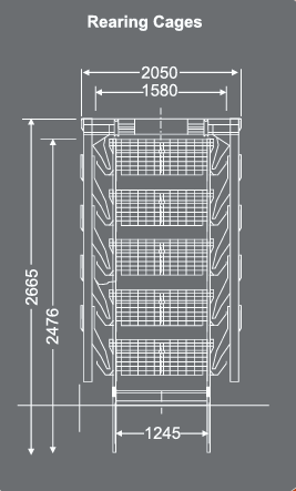 Rearing cage system